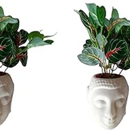 MoneyPB2014 Artificial Money Plant with Buddha Pot Pack of 2 PCS Pack of 2 PCS-image-74