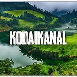 kodaikanal Wooden Fridge Magnet Decor for Office-Door-DecorationHome-Kitchen-Refrigerator-Door Decoration Wooden Souvenir Gift L X H 3 X 2 Inch-image-89