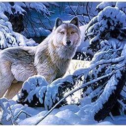 CALANDIS 1 Set DIY Diamond Picture with Crystal Painting Kit Hand Craft Snow Wolf | Crafts | Needlecrafts & Yarn | Embroidery & Cross Stitch | Hand Embroidery Kits | Cross Stitch Kits-image-85