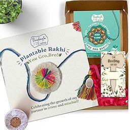 Bombay Greens Plantable Rakhi for Brother Eco- Friendly DIY Grow Kit| Grow Plants from Seeds Rakhi | Rakhi Gift Set for Brother – Multi Flower-image-60