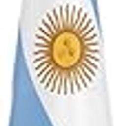 The Flag Company Argentina Indoor Pole with 3x4.5 Ft Fabric Flag | 6-Foot Stainless Steel Floor Stand | Formal Display for Office, Conferences & Events-image-84