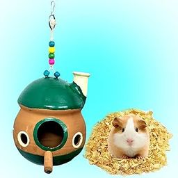 JAINSONS Pet Products Natural Earthenware Hamster Hiding House Pet Cave Small Animal Cage Habitat Decor Hanging House for Guinea Pig, Mice, Gerbils, Hamsters with 500g Bedding-image-88