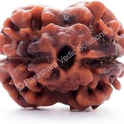 ARKAM Two Mukhi Oval Rudraksha Certified/Original 2 Mukhi Rudraksh/Natural 2 faced Rudraksha (Brown) with Certificate and Puja Instructions-51