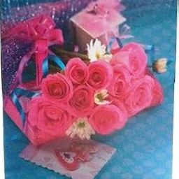 Natraj 200 Pocket 5 X 7 inch Album-29