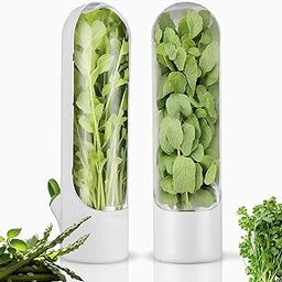 Vamrak Herb Keeper for Refrigerator, Tall Rectangular, 2PCS, 3.35*3.35*10.04inch, Keeps Vegetables Fresh for 2-3 Weeks-image-48