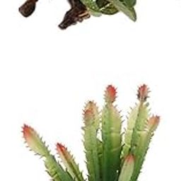 MERISHOPP® 2 Pack Artificial Aquatic Plant for Reptile Tank Habitat Landscape Decor |Pet Supplies | Reptile Supplies-image-23