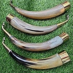 Natural Horn Gaumukhi Shringi for Abhishek Puja: 50cm Long-picture-30