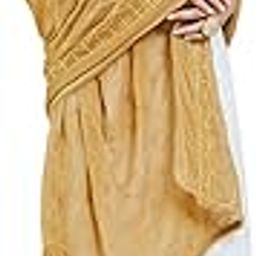 Women Chiffon Embroidered Beige Dupatta-image-65
