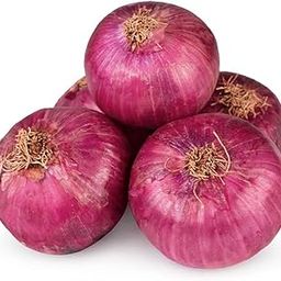 Pluckk Fresh Premium Onion, 1 Kg, Uniform Size & Shape-image-1