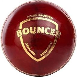 SG Bouncer Leather Balls (Pack of 12),-picture-10