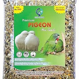 G1E Hand-Selected Seed Mix for All Life Stages Dry Bird Food for Large Birds - Pigeon Mix Seeds 900 Grams - Pack of 1 (900 Grams)-picture-21