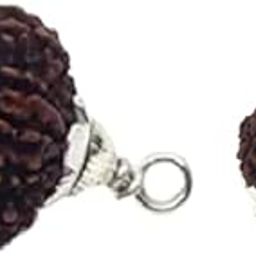 11 Mukhi Rudraksha Original Certified 11 मुखी रुद्राक्ष Nepali Hanuman Rudraksha Pendant AAA++ Pure 11 Face Ruthrajam With Free 5 Faced Ruthratcham-47