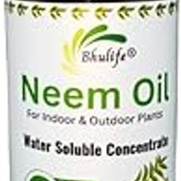 Bhulife Organic Cold Pressed Concentrated Neem Oil for Plants To Make Neem Spray 100MLx1-picture-25