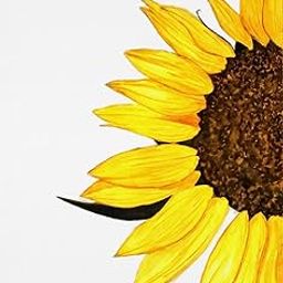 MagicTrails | Sunflower Art Print | Size: A4-image-22