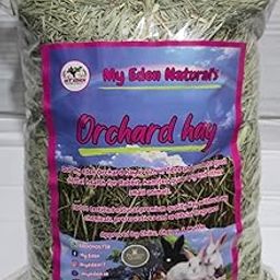 My Eden Orchard Hay for Rabbits, Natural Pet Food-15