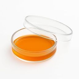 Labxport Borosilicate Glass Petri Dish with Lid (50mm, 2 inch) Bacterial Culture Dishes for School College lab Laboratory Science Experiment, Microbiology, professionals & DIY Sample collection use-image-25