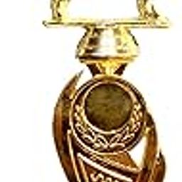 Be Win Winner Golden & Fiber Designed Sports Trophy for Cricket Tournaments & Best for Man of The Match, Man of The Series-picture-17