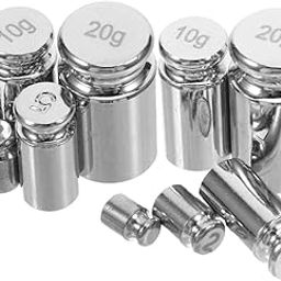 CHILDWEET 10pcs Set Weight Kit Scale Balancing Weights Scale for Weight Scales Digital Weight Grams Calibration Weights for Digital Scale Gram Weight Scale Gram Weights Steel Silver-12