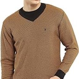 Mens Self Design V Neck Full Sleeve Pullover-picture-35