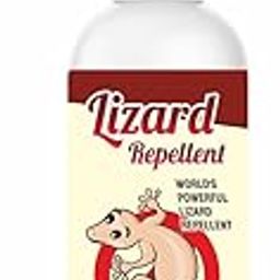 Natural Lizard Repellent Spray for Home | Herbal Spray Lizard Killer | Indoor Lizard Trap Solution | Anti Lizard Spray for Walls | Herbal Repellent for Lizards (200ml)-image-96