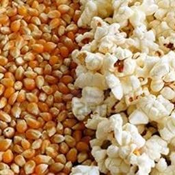 Aapkidukan Pop Corn Kernels(Dried Corn) 900 Gm-image-23
