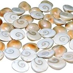 Agatesvibe Certified Gomati Chakra Original River Stones – 100% Natural and Authentic Gomti Chakra from Gomathi River Dwarka | Rare Sacred Spiral for Wealth, Prosperity, Vastu Correction, Protection, (11 Pieces, 10mm)-image-64