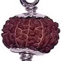 shivtantra 9 mukhi Natural Rudraksha Certified | Astrological Nine Mukhi/Faced Rudraksha | Positive Effect | Unisex Both for Men & Women-picture-12