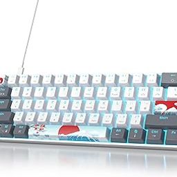 Owpkeenthy RGB Mechanical Keyboard 60 Percent Red Switches, Ultra-Compact Mini Wired Gaming Keybaord with Backlit PBT Dye-Sub Keycaps for Win/Mac/PC-12