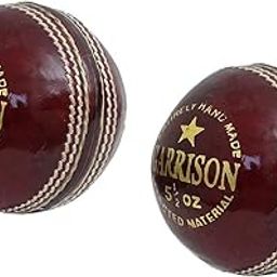 CW Leather Cricket Ball, Size Small (Red)-image-82