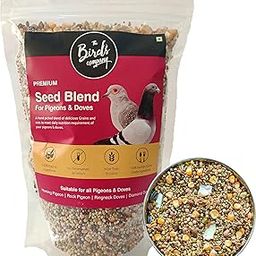 The Birds Company Premium Seed Blend of 8 Grains & Nuts, Fortified with Spirulina, Bird Food for Pigeons & Doves, 450 g-28