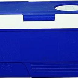 DHWANI ENTERPRISE 50LTR ICE Box (RED/Blue)-image-31