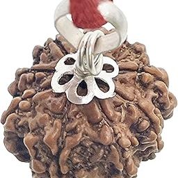 Natchcart Laboratory Certified 8/Eight Mukhi Rudraksha Original Pure Siddha in Silver, Size 16-22mm, Color-Brown (8 Mukhi Silver)-36