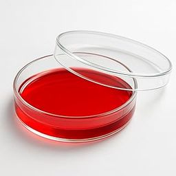 Labxport Borosilicate Glass Petri Dish with lid (75mm, 3 inch) Bacterial Culture Dishes for School College lab Laboratory Science Experiment, Microbiology, professionals & DIY Sample collection use-7