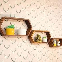 Woodsfy Hexagon Wall Shelf Set of 3 | Sheesham Wood Wall Mounted Display Racks | Wooden Honeycomb Shelves for Home & Living Room Décor | Honey Finish | Decorative Floating Shelves-image-45