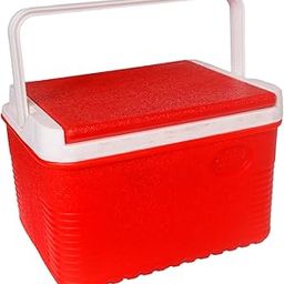 Ghansham Ice Box Manufacturers - 6 LTR Plastic Ice Box | Polyethylene Puff Insulation Ice Cooler | Ice Chest-image-14