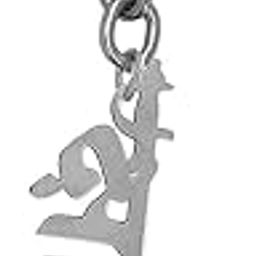 Personalized Kshatriya Text Word Religious Silver Stainless Steel Keychain For Men And Women-image-41