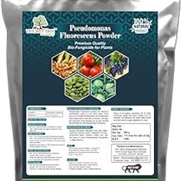 Pseudomonas Fluorescens Powder | Bio Fungicide for Seeds & Home Garden Plants | Against Root Rot, Stem Rot, Wilt & Fungal Dieases (900 GM)-image-60