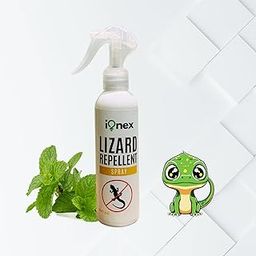 Herbal Lizard Repellent Spray - 200ml | 100% Herbal and Chemical free | Peppermint Oil | Effective on all types of Lizards-image-58