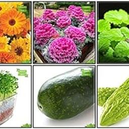 Creative Farmer Garden Seeds Combo Herb Seeds & Vegetable Seeds : Ashgourd, Bhindi (Arka Anamika), Calendula- Orange, Ornamental Kale, Mint, Cress Common For Gardening-image-88