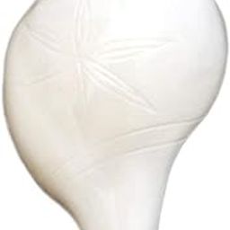 DAIVARIP Loud Vamavarti Left Handed Natural Blowing Shankh/Conch Shell (White, 8 cm).-image-88