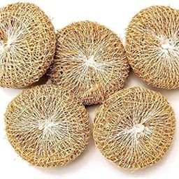 Vetiver Loofah| Vetiver Scrub| Vetiver Bath Loofah Sponge| Ramacham Loofah| Vetiver Scrubber-image-14