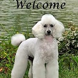 White Poodle - Best of Breed CEFK Welcome Photo Garden Flag-image-39