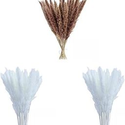 ATORSE Set of 3 Phragmites Dried Pampa Bouquet Boho Fall Decor for Branches Wedding-image-3