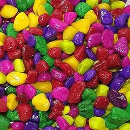 Wisket® 910 Gram Multicolour Pebbles for Plant Pots Indoor - Aquarium Pebbles for Decoration - Pebbles for Aquarium - Pebbles for Indoor Plants - Pebbles Stones for Garden Fish Tank - 1.5 to 2.5 cm-image-31