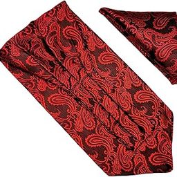 France Men's Self-Design Cravat Ascot Neck Tie for Men Free Size Microfiber Fabric-image-98