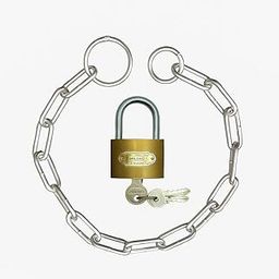 1.5 Feet Heavy-Duty Stainless Steel Lock Chain (Silver) with 50mm Brass Padlock (Gold) & 3 Keys – Strong Security Combo for Gates, Doors, Bikes, Luggage, Shutters, Fences & More-image-76