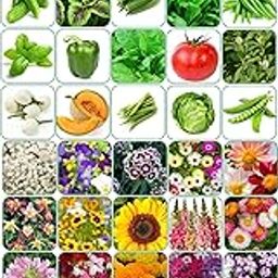 Aero Seeds 50 variety(25 flower and 25 vegetable) seeds combo pack with instruction manual.-picture-20