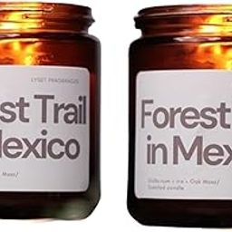 Lyset Single Wick Forest Trail in Mexico Scented Wax Candle - Aromatherapy | Smoke-Free | Luxury Home Décor | Meditation | Scented Candles Gift Set | Jar Candles (Pack of 2)-image-42