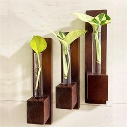 Bombay Greens ; Sow, grow, eat, repeat Wall Planter|Wooden Plant Holder for Living Room|Eco Friendly Planter for Home Décor|Test Tube Planter for Office|Double Sided Tape Included (Set of 3)-image-39