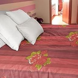 Soft & Breathable Pure Cotton Bedsheet Set – Includes 2 Matching Pillow Covers (DHM-1.11)-image-93